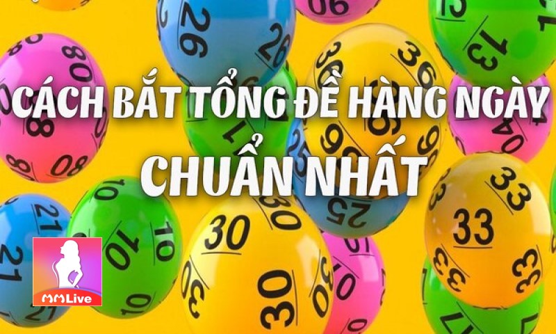 bắt tổng đề hàng ngày