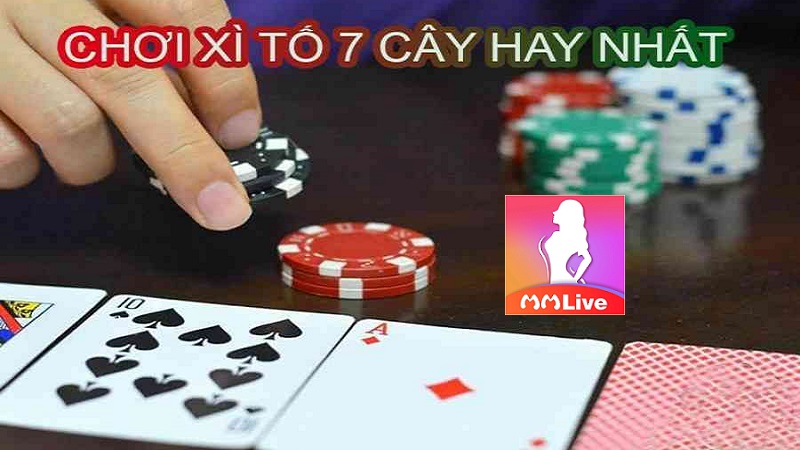 xì tố 7 cây