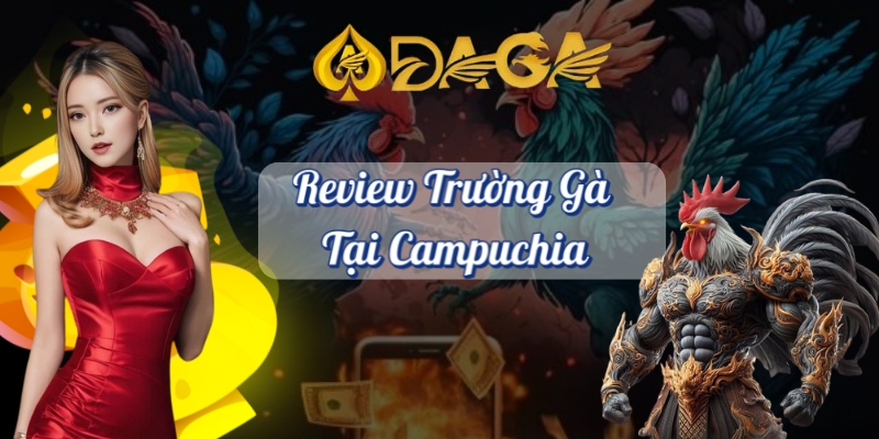 Review trường gà tại campuchia